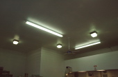 Flouresent & Metal Halide lights